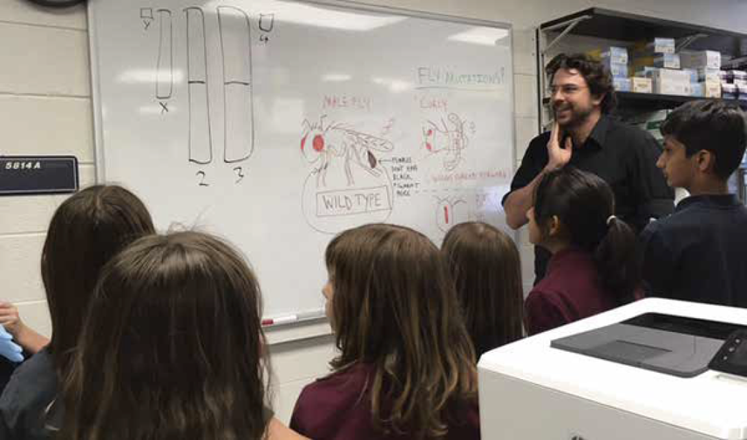 A person delivering a lecture in a classroom at a white board