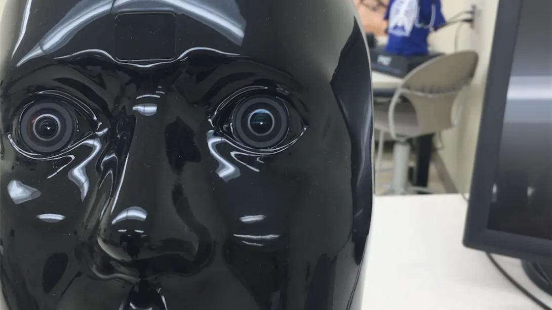 A lab dummy