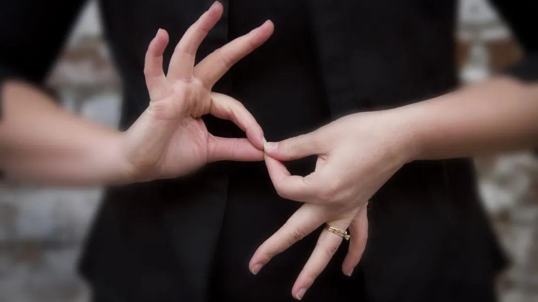 A person's hands using sign language