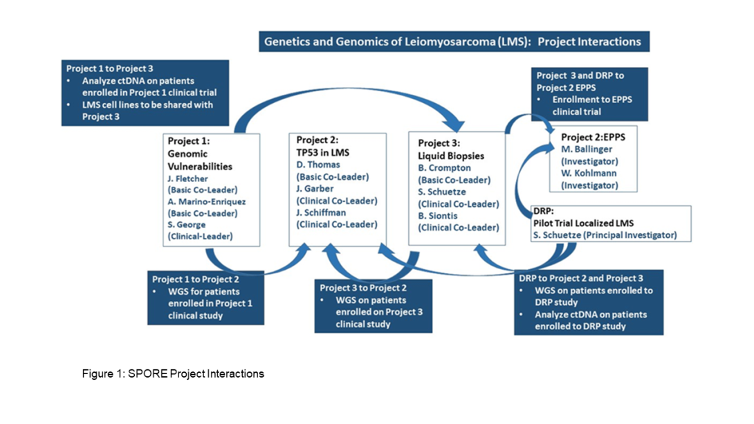 LMS-spore-project-interactions