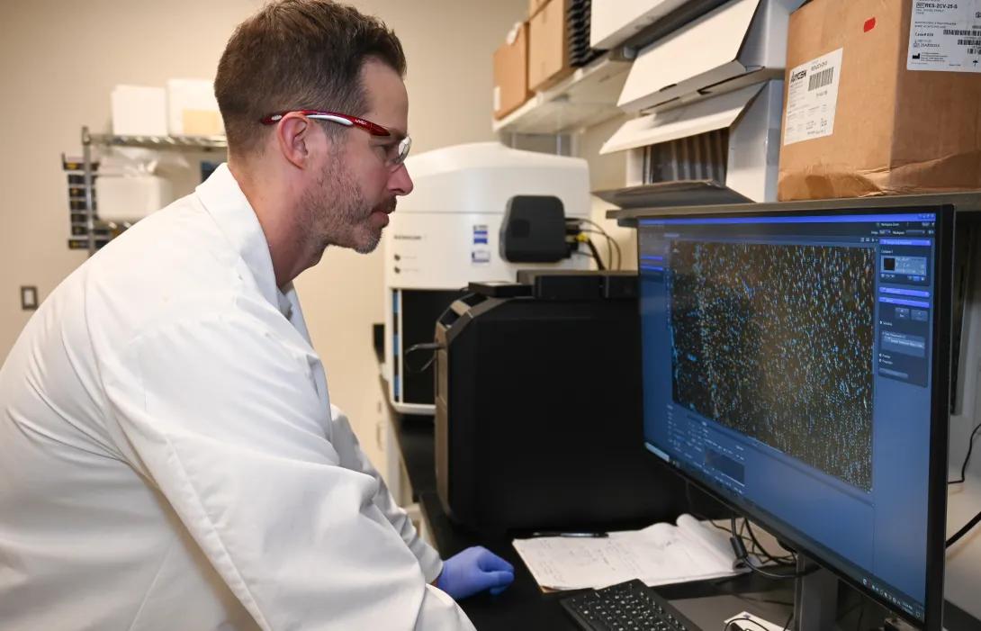 Dr. Joseph Wider reviews images taken by the Zeiss Axioscan 7, a fully automated slide-scanning microscope. (Photo by Danielle Jimenez)