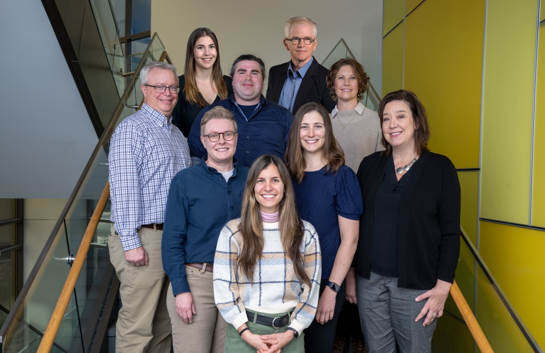 rise idp cohort 6