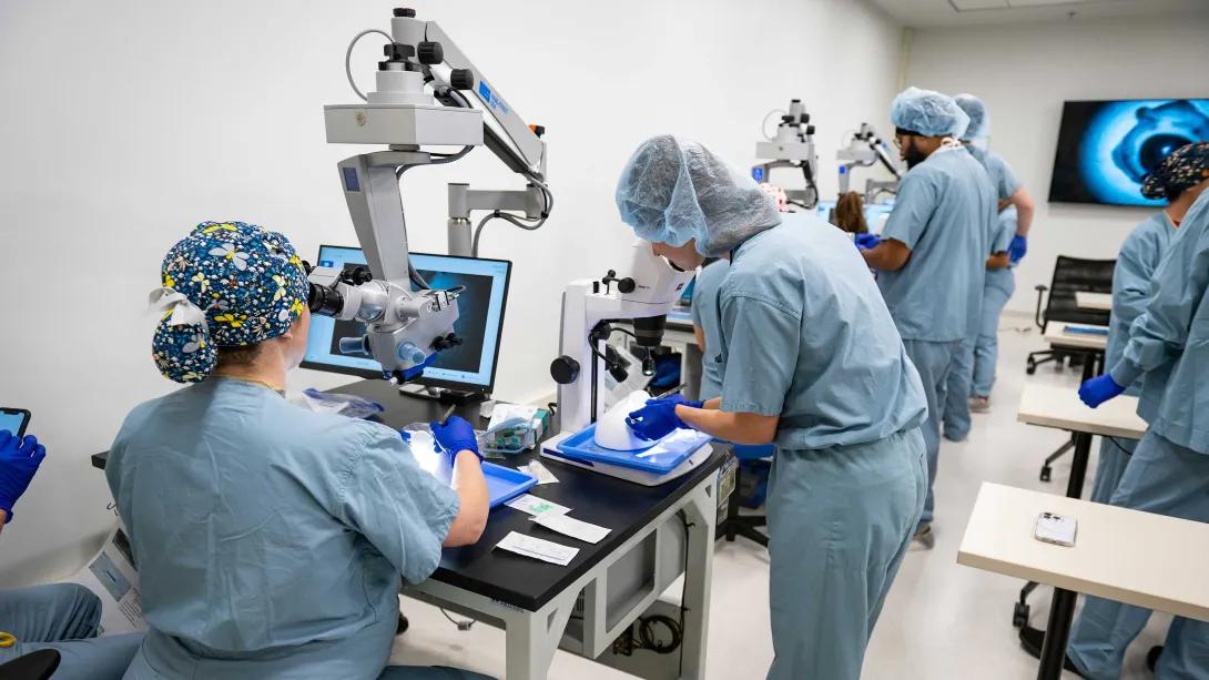 Surgical microscope stations set up for ophthalmology resident training in the wet lab.
