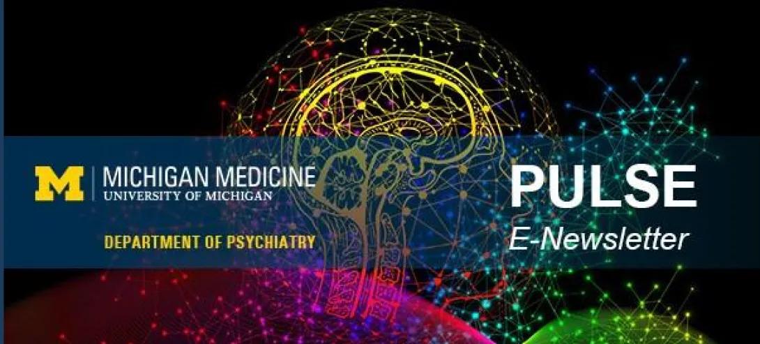 The Pulse e-newsletter header